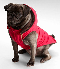 Tory Burch Nylon Puffer Dog Coat