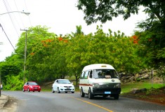 Barbados - What's Haute in the World