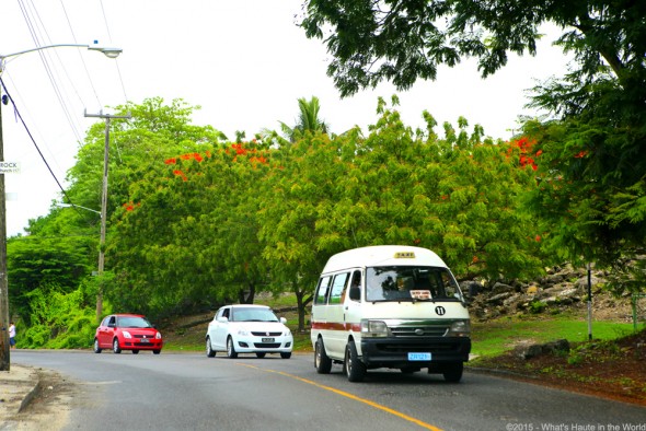 Barbados - What's Haute in the World