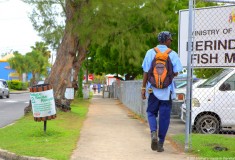 Barbados - What's Haute in the World