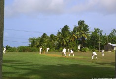 Barbados - What's Haute in the World