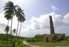 Barbados - What's Haute in the World