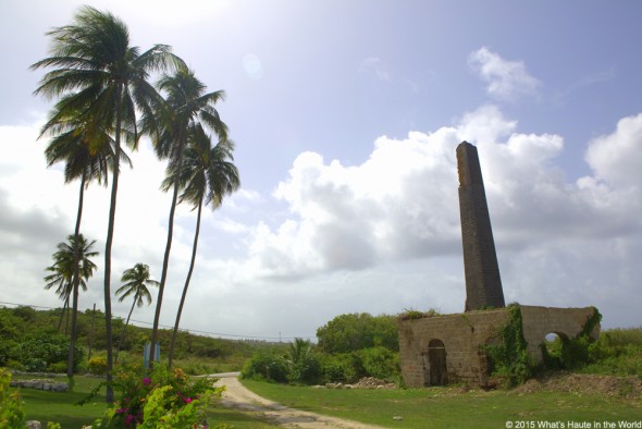 Barbados - What's Haute in the World