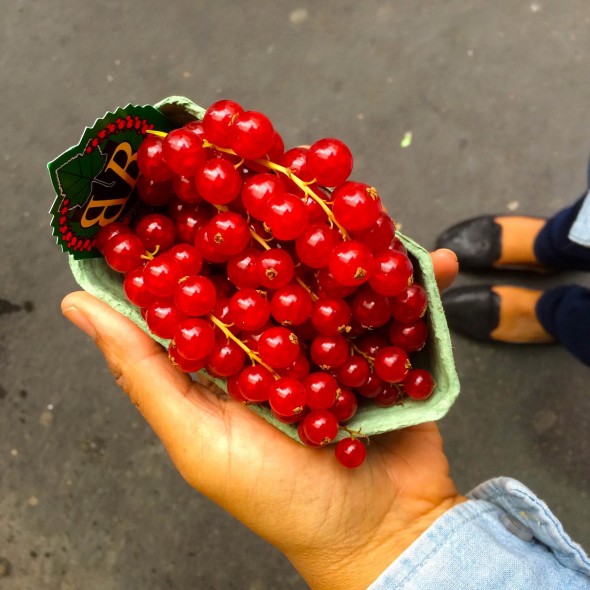 Paris - Currants - What's Haute in the World