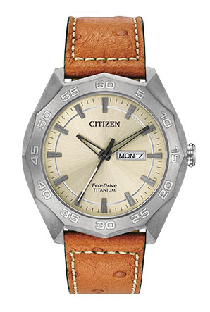 Citizen® Eco-Drive Men's Super Titanium Watch With Brown Leather Strap