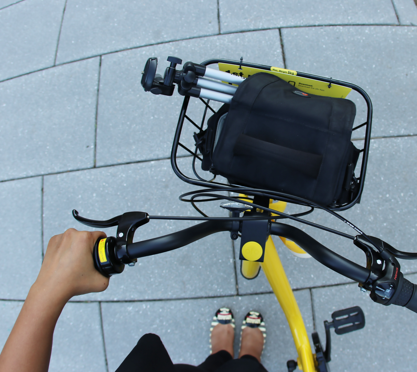 Introducing ofo: My New Fall Ride