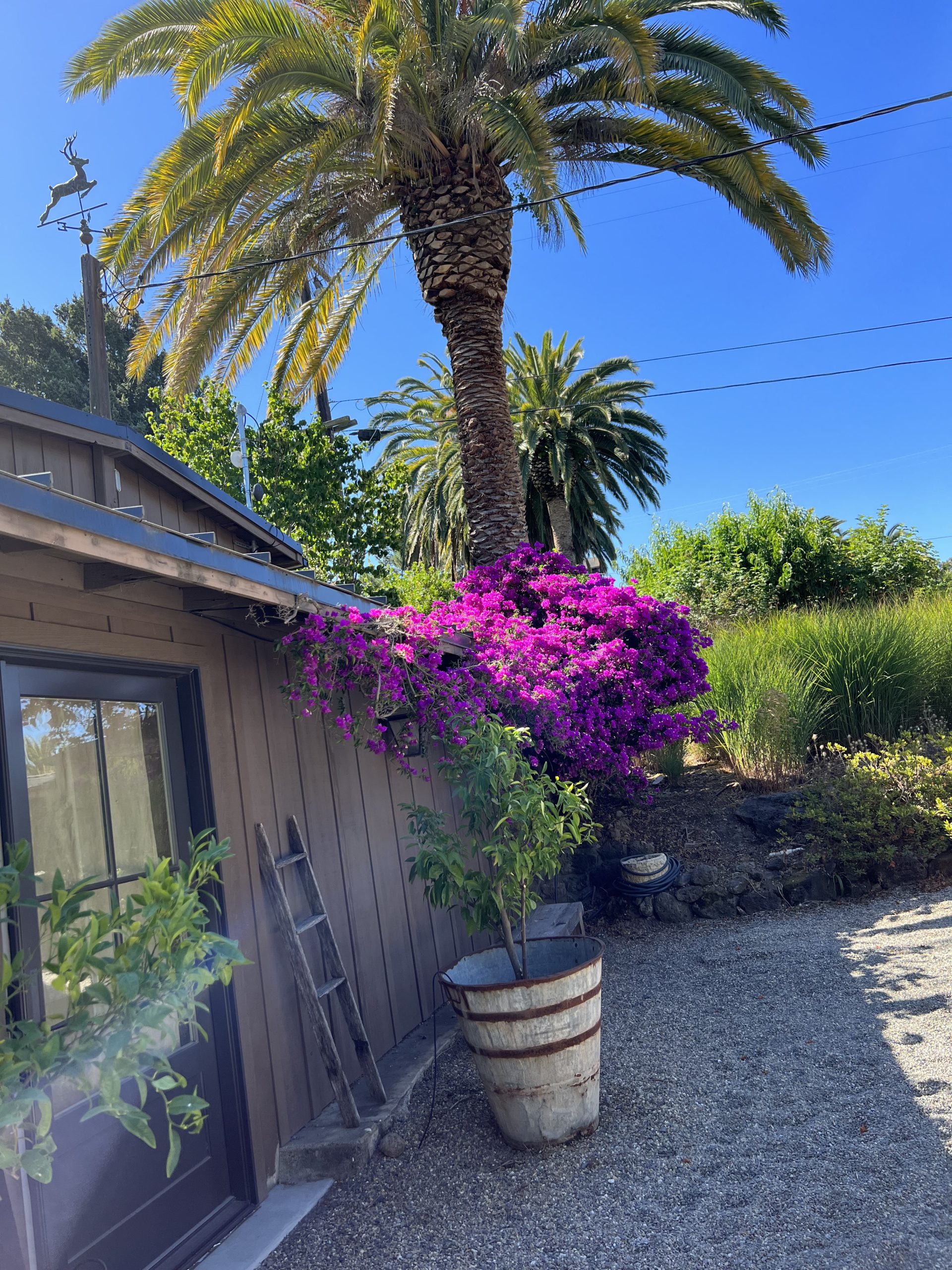 Cheese shed - Try an elevated wine tasting experience at Gagnon Kennedy vineyards