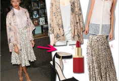 Get her haute look: Selita Ebanks at the Hangover 2 screening