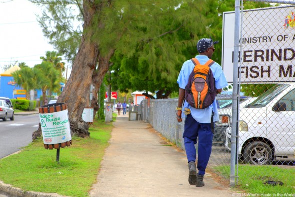 Barbados - What's Haute in the World